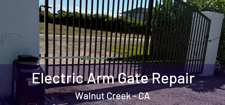 Electric Arm Gate Repair Walnut Creek - CA