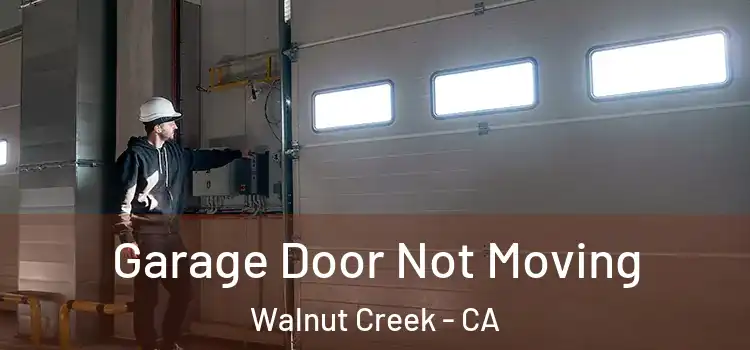  Garage Door Not Moving Walnut Creek - CA