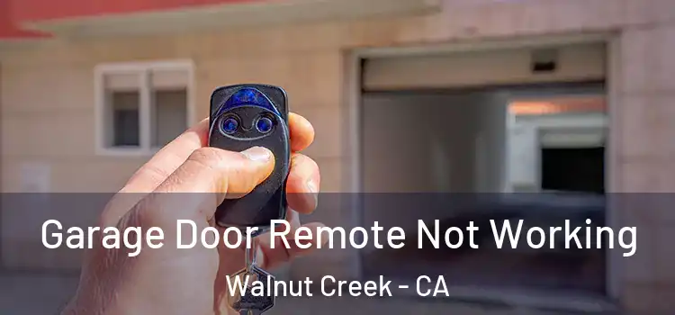  Garage Door Remote Not Working Walnut Creek - CA