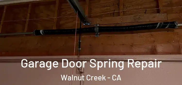  Garage Door Spring Repair Walnut Creek - CA