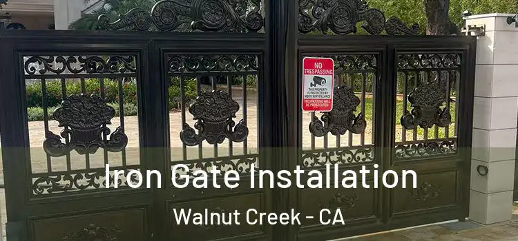 Iron Gate Installation Walnut Creek - CA