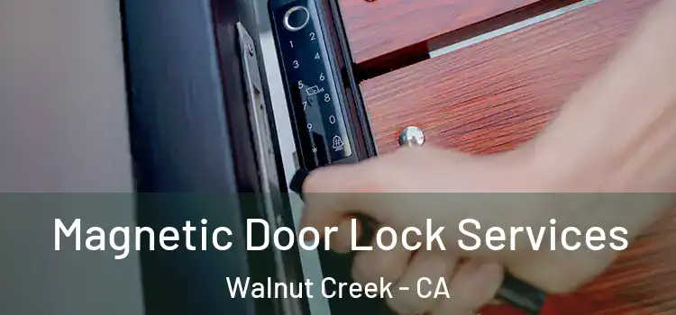 Magnetic Door Lock Services Walnut Creek - CA