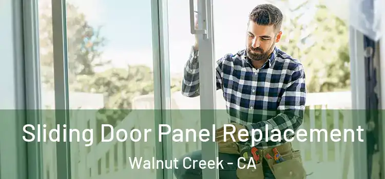 Sliding Door Panel Replacement Walnut Creek - CA